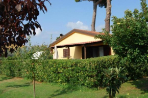 Ferienhaus In Cecina Mit Großem Garten